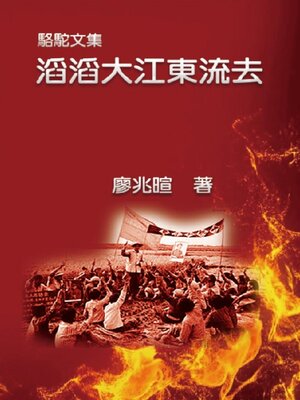 cover image of 駱駝文集：滔滔大江東流去